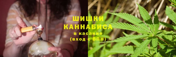 дживик Горняк