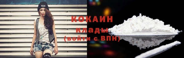 дмт Горно-Алтайск