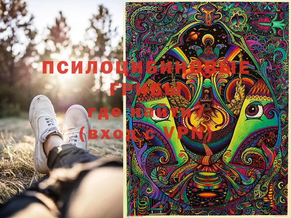 дмт Горно-Алтайск