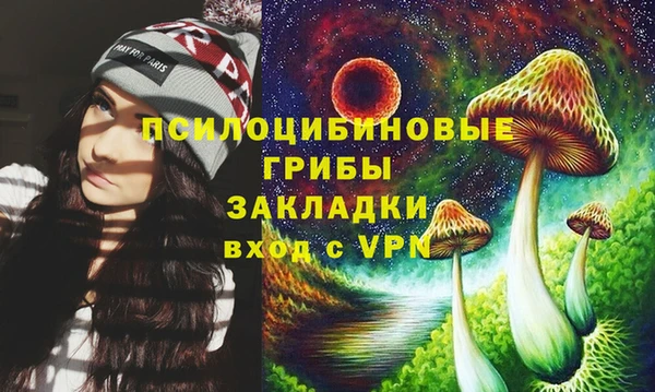 дживик Горняк