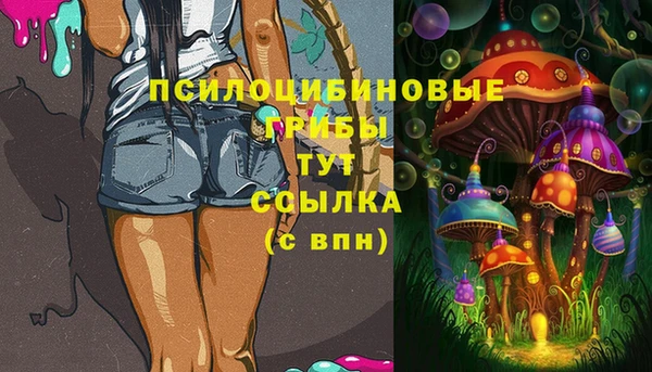 дживик Горняк