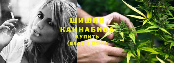 дмт Горно-Алтайск
