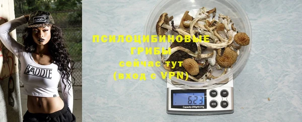 дживик Горняк
