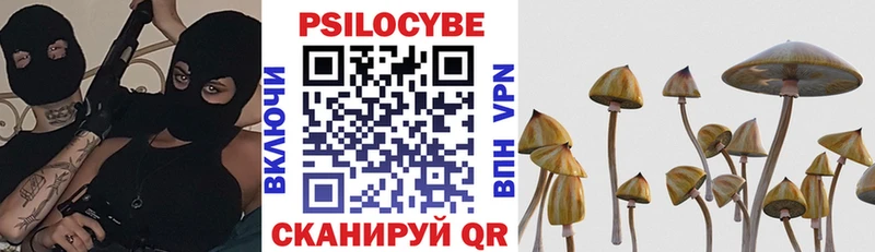 Купить закладки  Поворино  Галлюциногенные грибы Psilocybe 